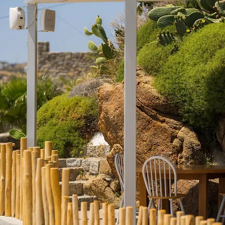Hotell New Paradise - Adults Only