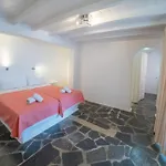 New Paradise - Adults Only Hotel Paradise Beach (Mykonos)
