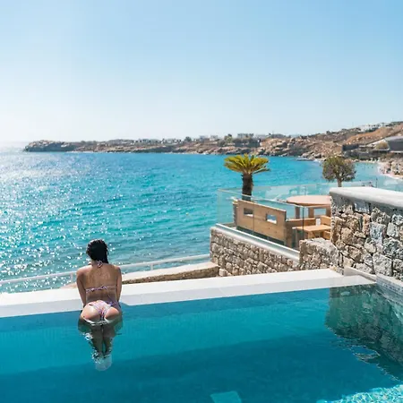 New Paradise